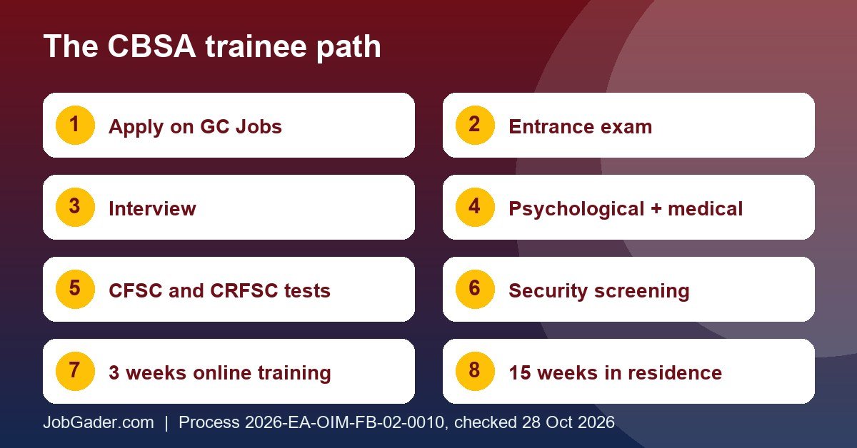 Infographic of the CBSA trainee path: apply on GC Jobs, entrance exam, interview, psychological and medical checks, firearms courses and 18 weeks of training